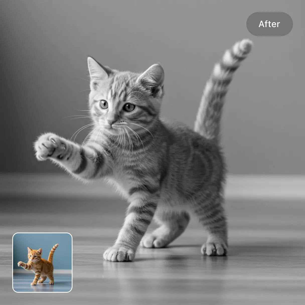 color_photo_to_black_and_white preview image