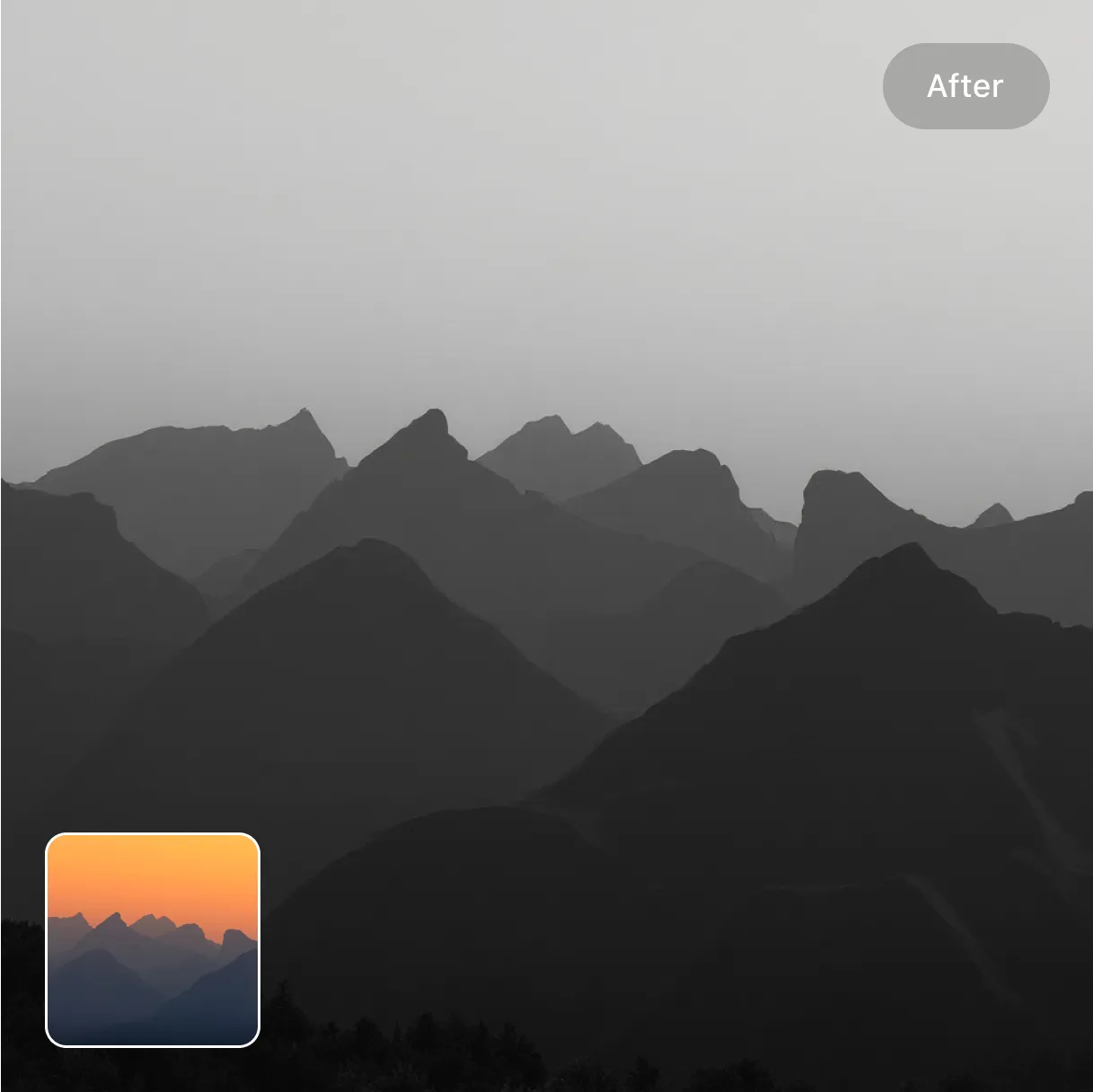 color_photo_to_black_and_white preview image