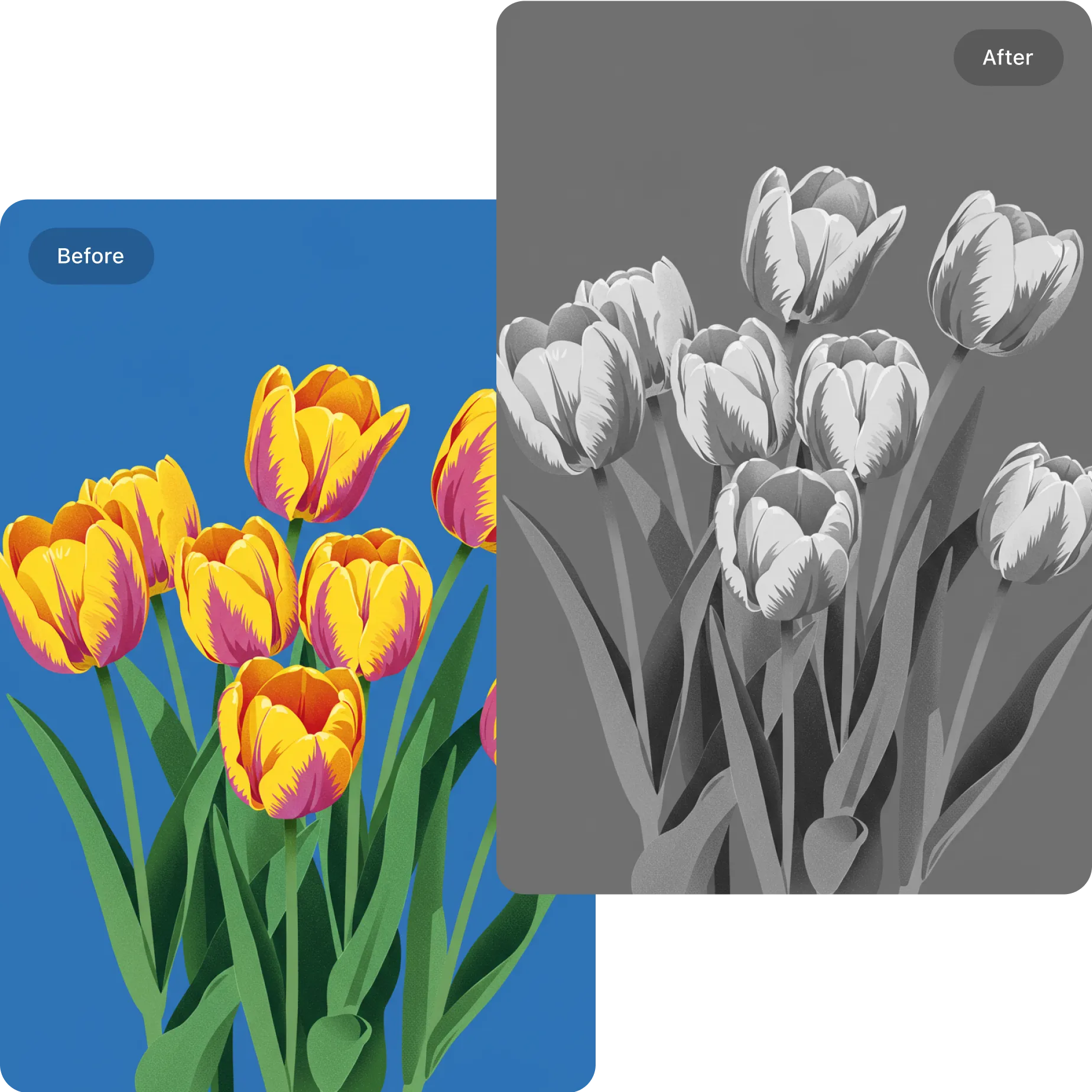 How to use grayscale_image